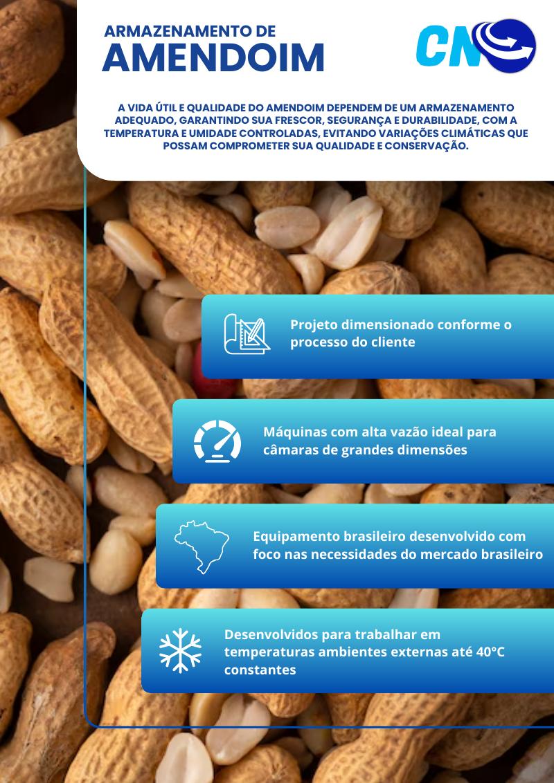 Capa — Folder Amendoim 2025