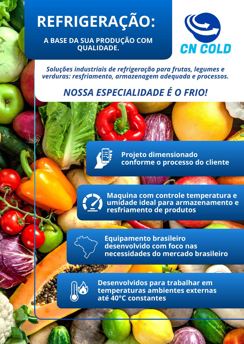 Capa — Folder FLV — Frutas, Legumes e Verduras