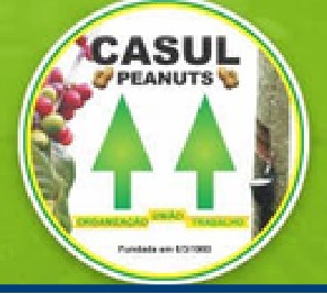 Casul Peanuts